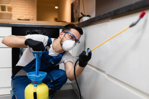 Best Exterminator Services  in Nolensville, TN