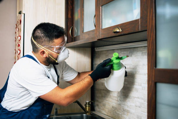 Flea Control Services in Nolensville, TN