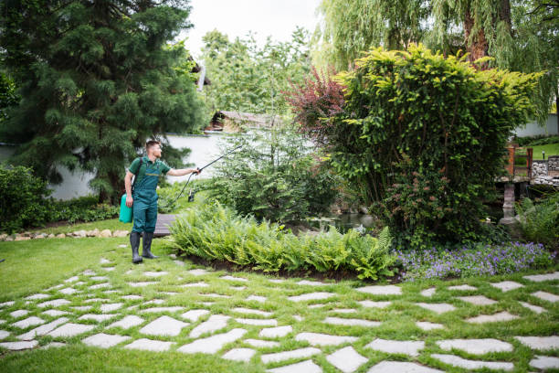 Best Residential Pest Control  in Nolensville, TN