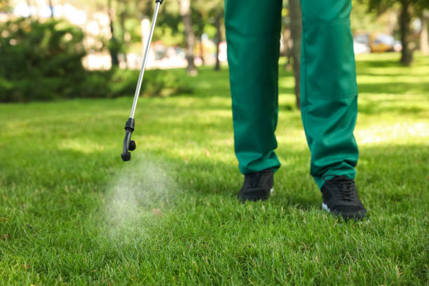 Best Pest Control for Businesses  in Nolensville, TN