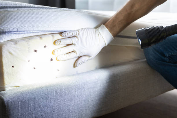 Trusted Nolensville, TN Pest Control Experts
