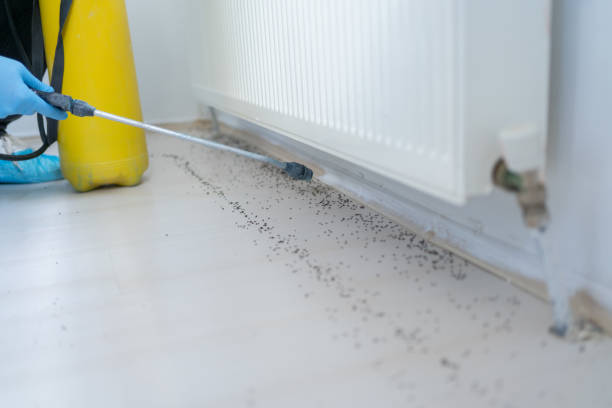 Best Pest Control Cost  in Nolensville, TN