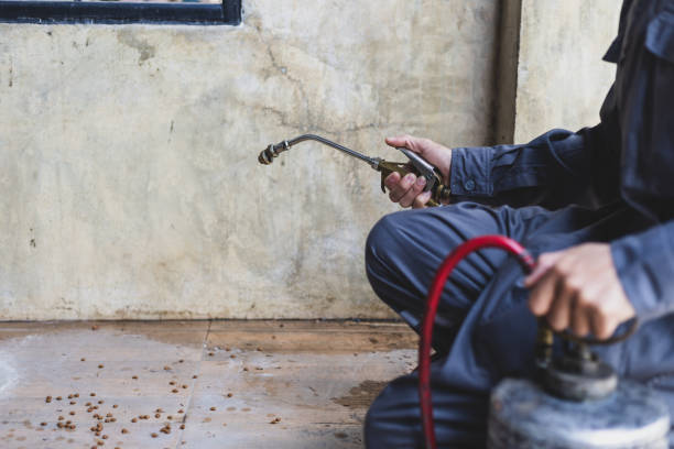 Best Pest Inspection Near Me  in Nolensville, TN